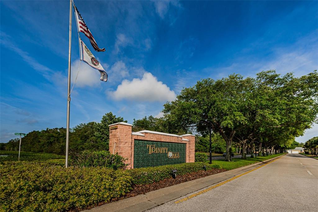 1151 Arlinbrook Drive Trinity, FL 34655 - Photo 59 of 69 a front view of a house with a yard