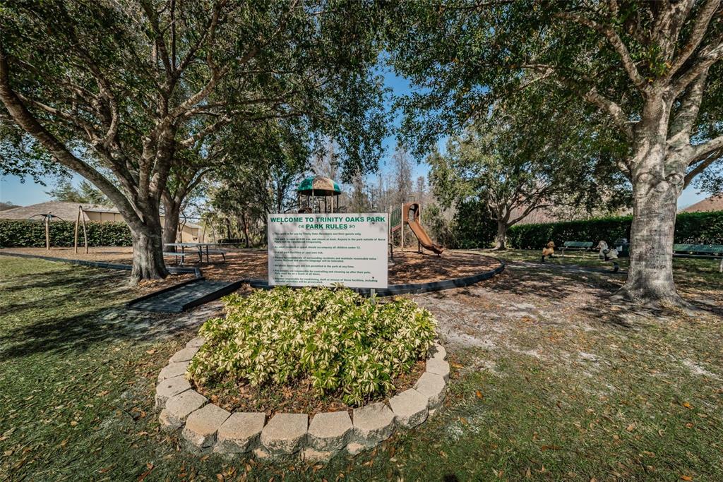 1151 Arlinbrook Drive Trinity, FL 34655 - Photo 60 of 69 a view of a backyard with large trees