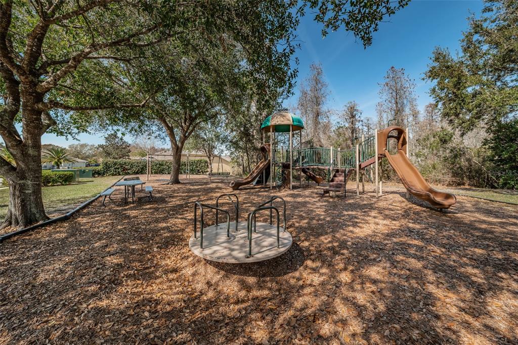 1151 Arlinbrook Drive Trinity, FL 34655 - Photo 61 of 69 a view of a park with large trees