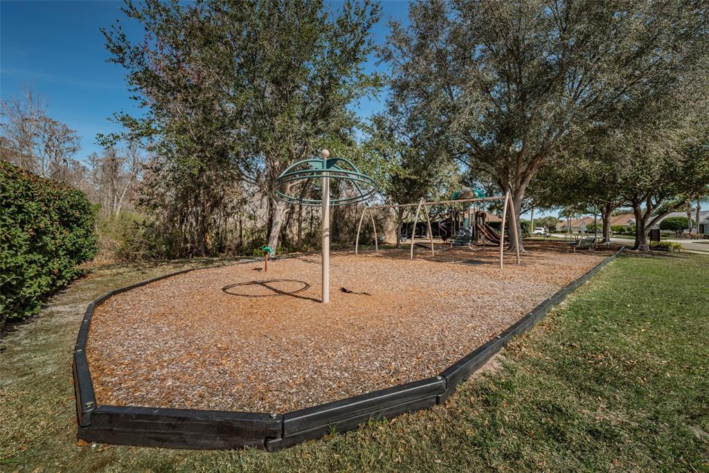1151 Arlinbrook Drive Trinity, FL 34655 - Photo 63 of 69