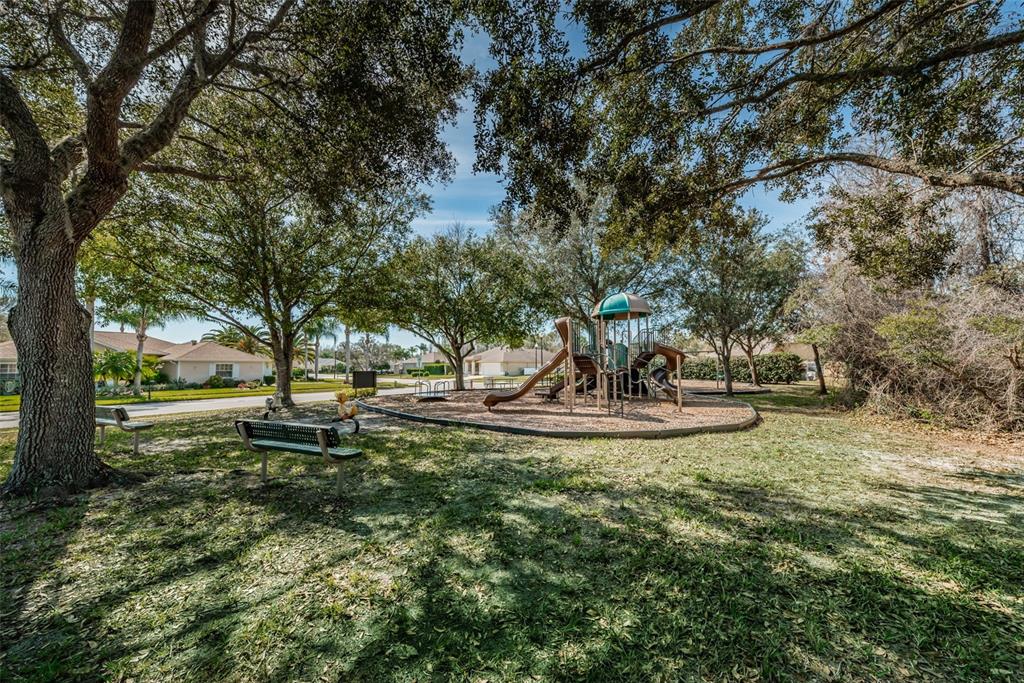 1151 Arlinbrook Drive Trinity, FL 34655 - Photo 65 of 69 a view of a garden with trees