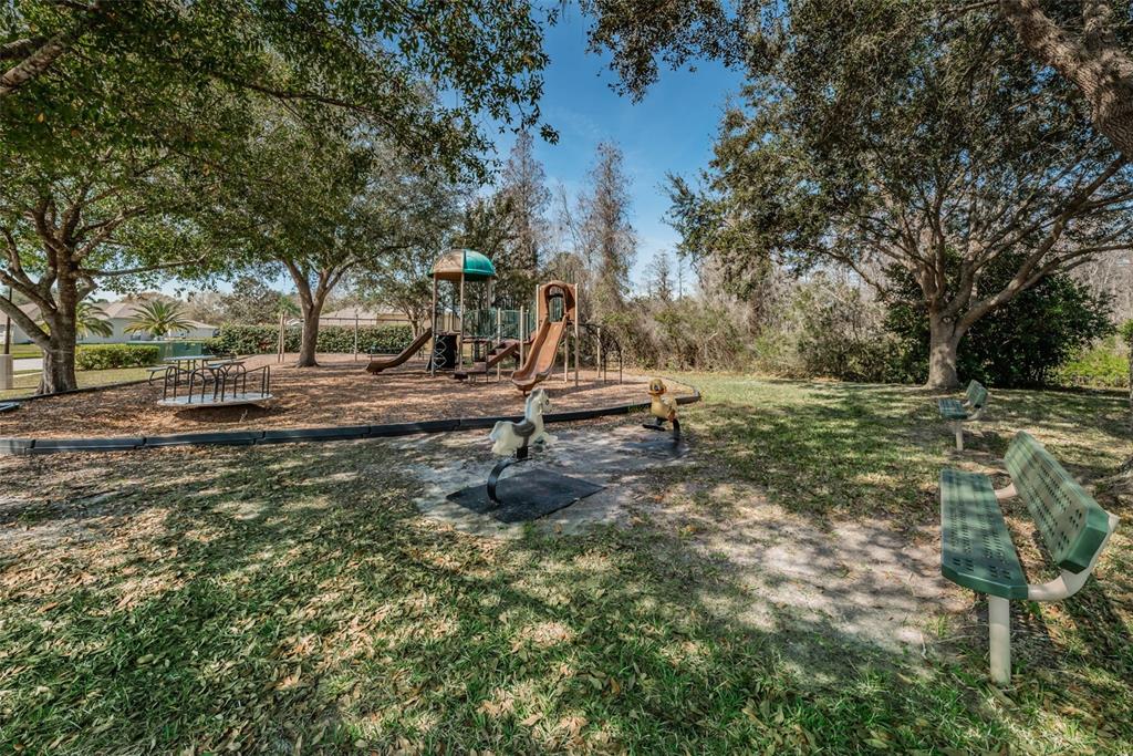 1151 Arlinbrook Drive Trinity, FL 34655 - Photo 66 of 69 a view of a park with large trees