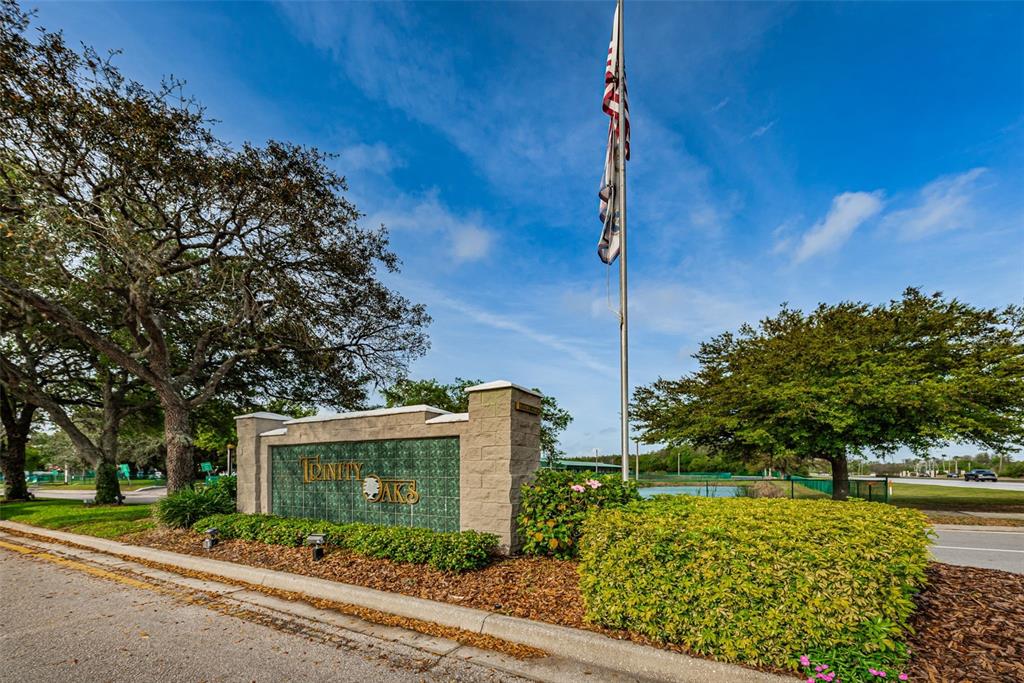 1151 Arlinbrook Drive Trinity, FL 34655 - Photo 68 of 69