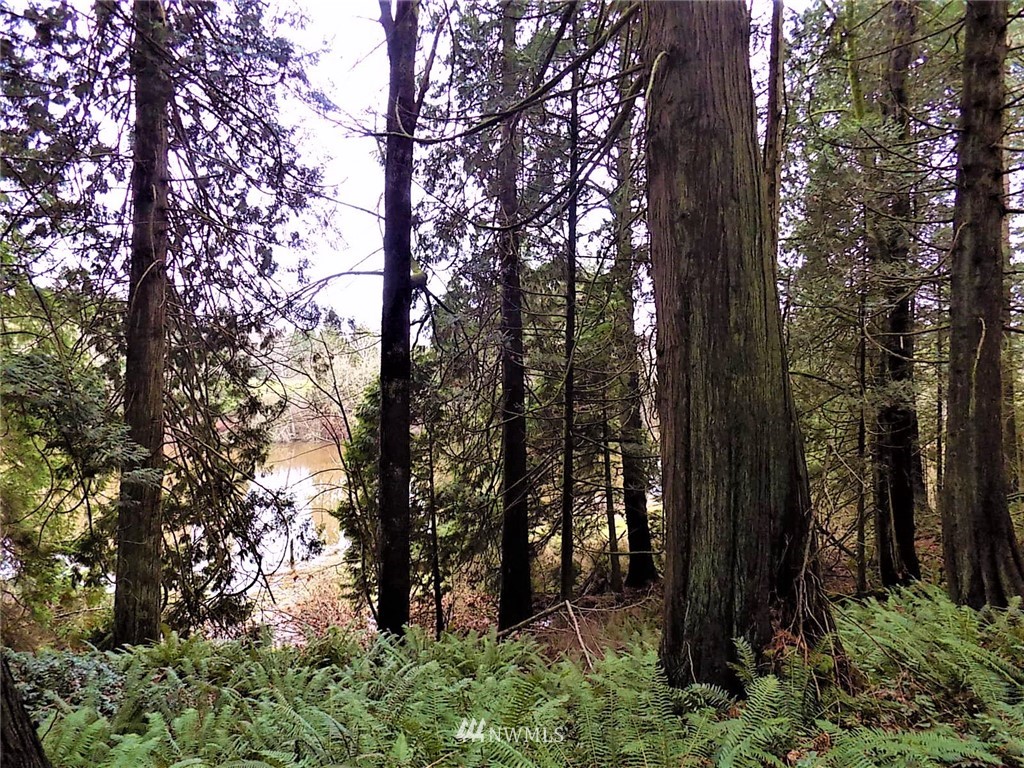-xx West Road Blaine, WA 98230 - Photo 8 of 19 Gallery Image 8