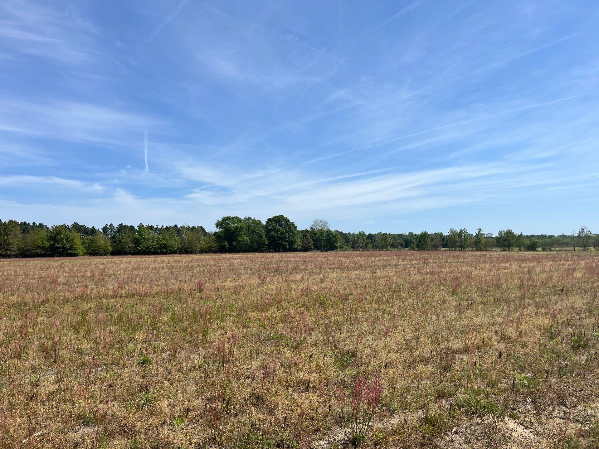 1 Judson Road, Unit MTA 1 Dillon, SC 29536 - Photo 9 of 28