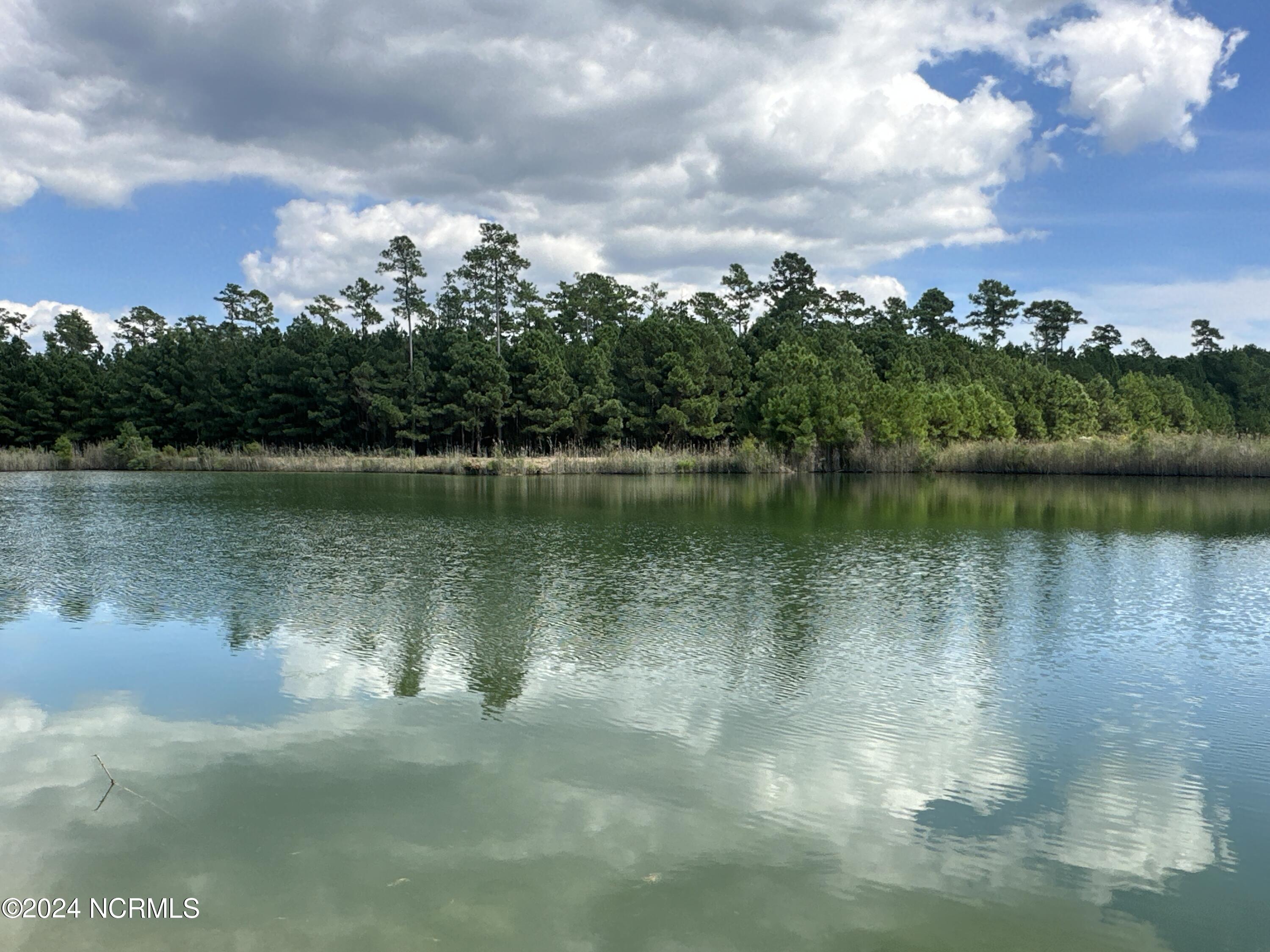 0 Sandy Point Road Scranton, NC 27875 - Photo 1 of 48 240-acre Hunting & Home Sites Sanctuary