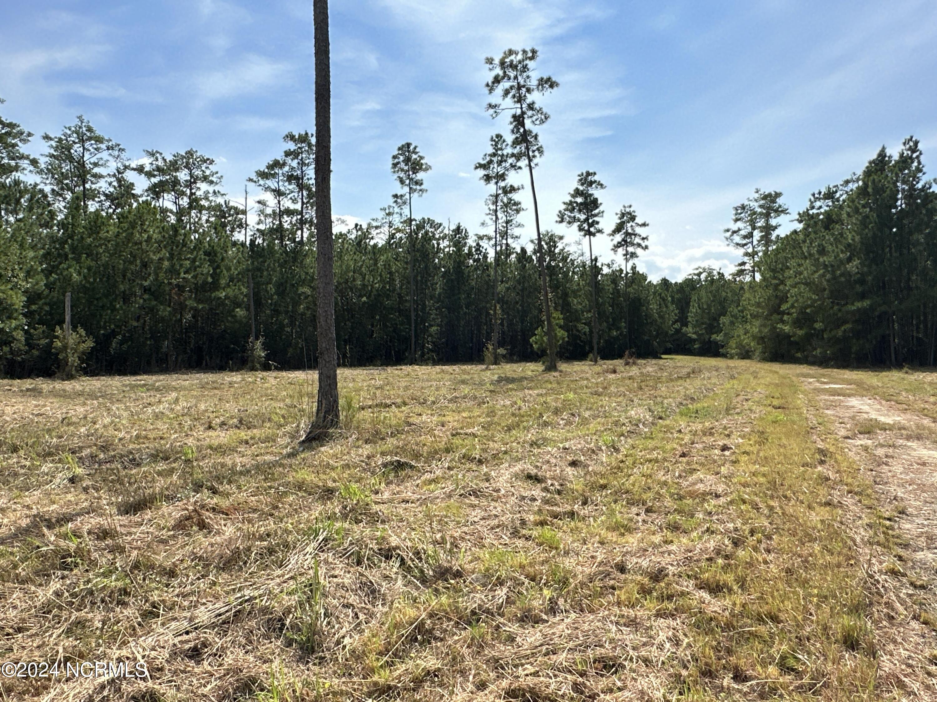 0 Sandy Point Road Scranton, NC 27875 - Photo 20 of 48 IMG_3115