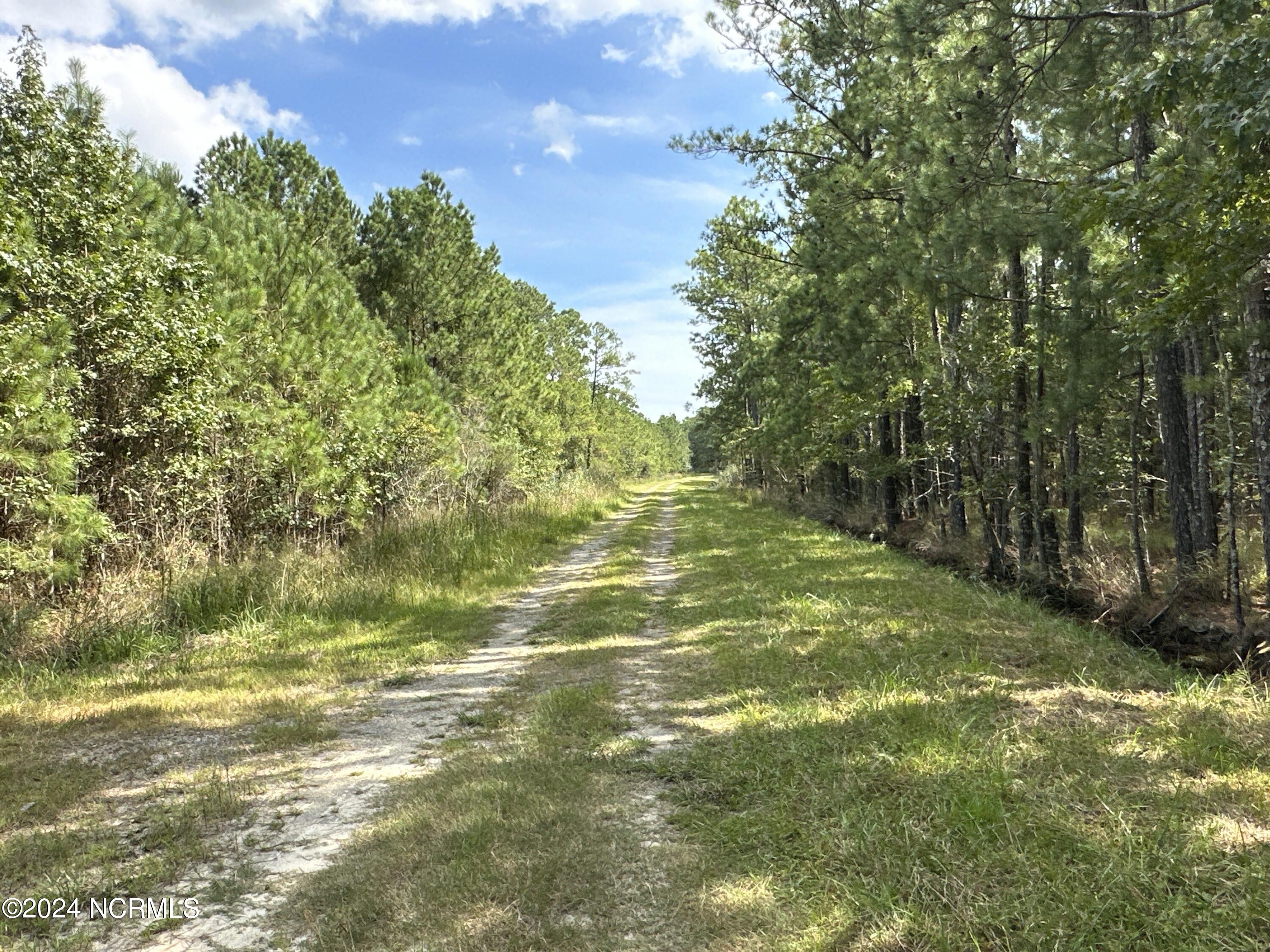 0 Sandy Point Road Scranton, NC 27875 - Photo 23 of 48 IMG_3118