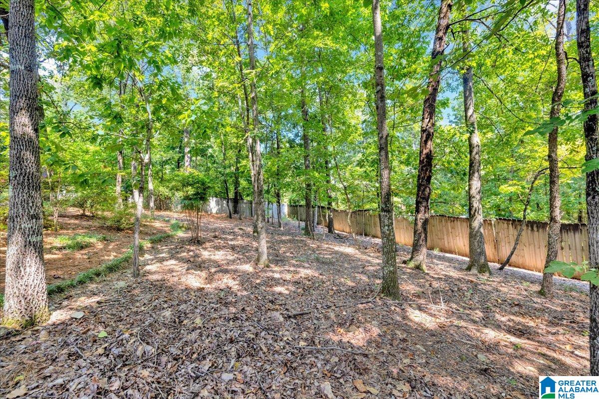 708 Meadow Ridge Court Birmingham, AL 35242 - Photo 60 of 65