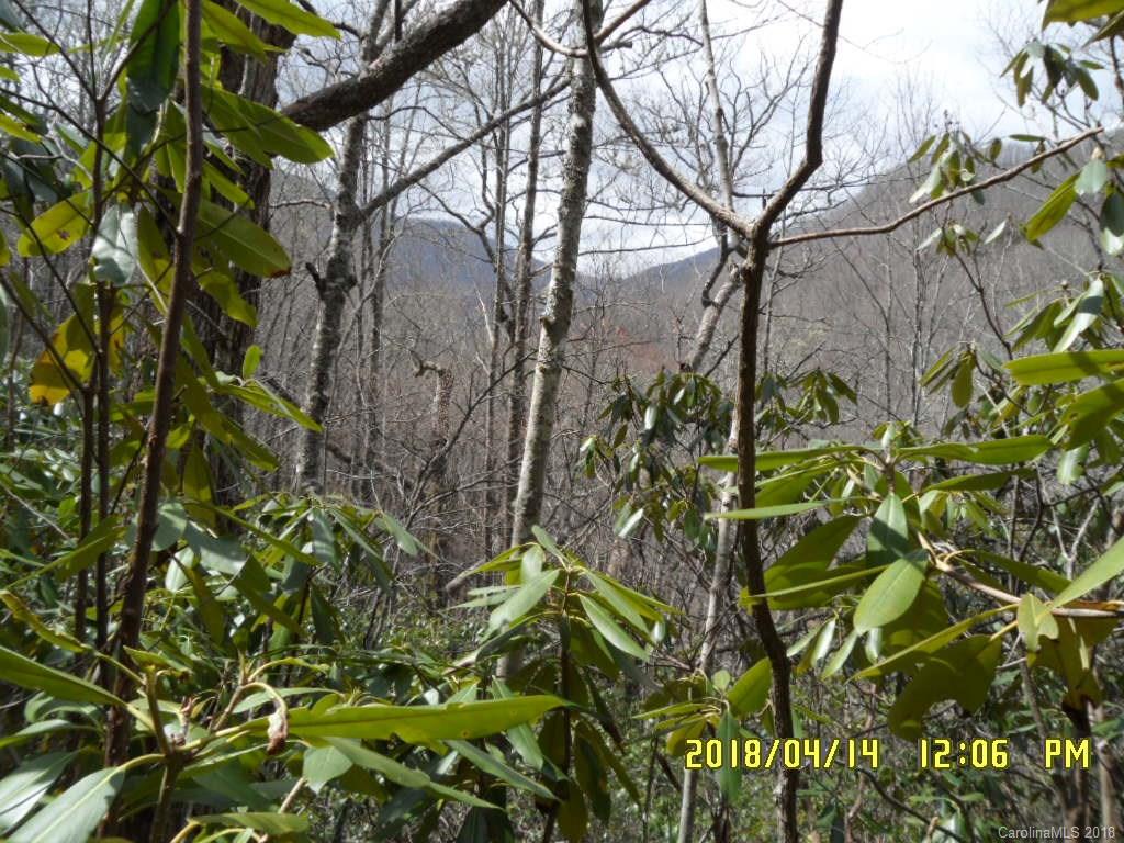 8.55-acres Off Bent Tree Road Maggie Valley, NC 28751 - Photo 14 of 14