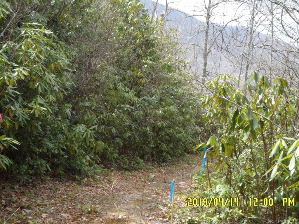 8.55-acres Off Bent Tree Road Maggie Valley, NC 28751 - Photo 3 of 14