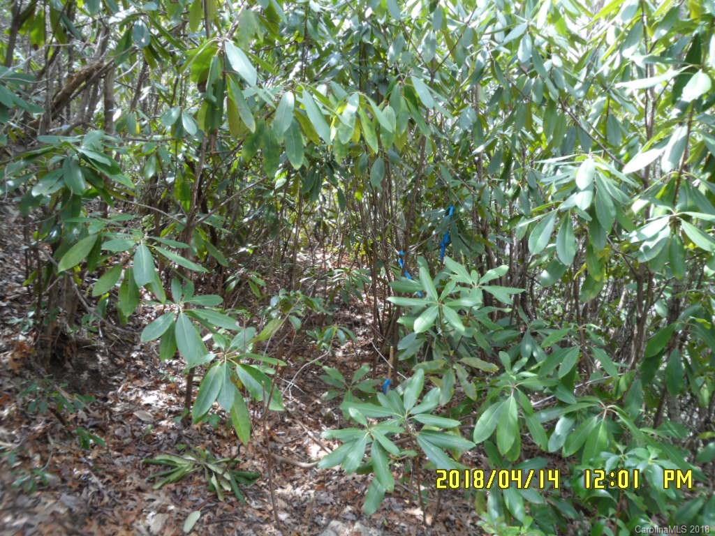 8.55-acres Off Bent Tree Road Maggie Valley, NC 28751 - Photo 4 of 14