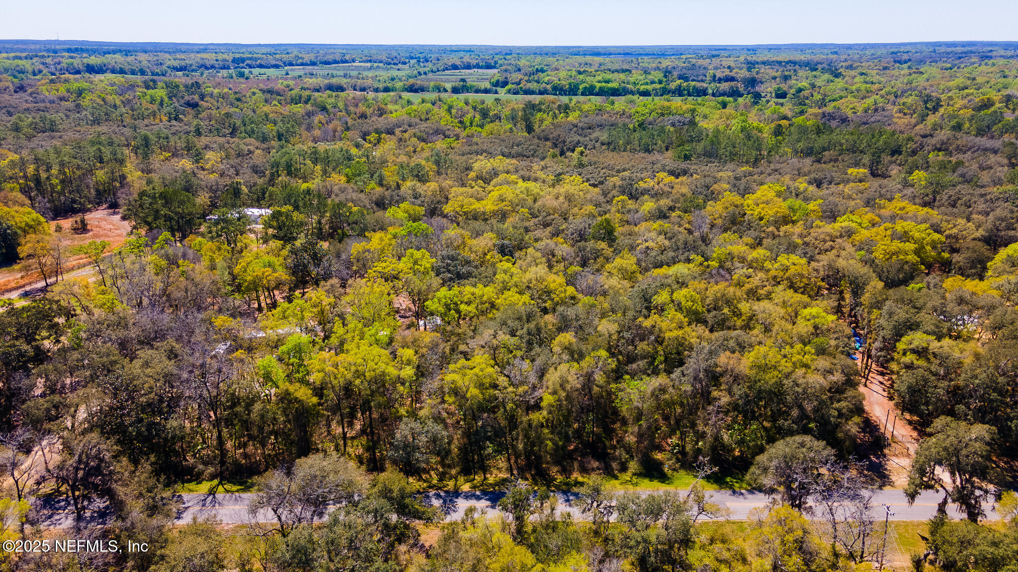 1772 Bellamy Road Florahome, FL 32140 - Photo 4 of 6 1772_Bellamy_Rd-1