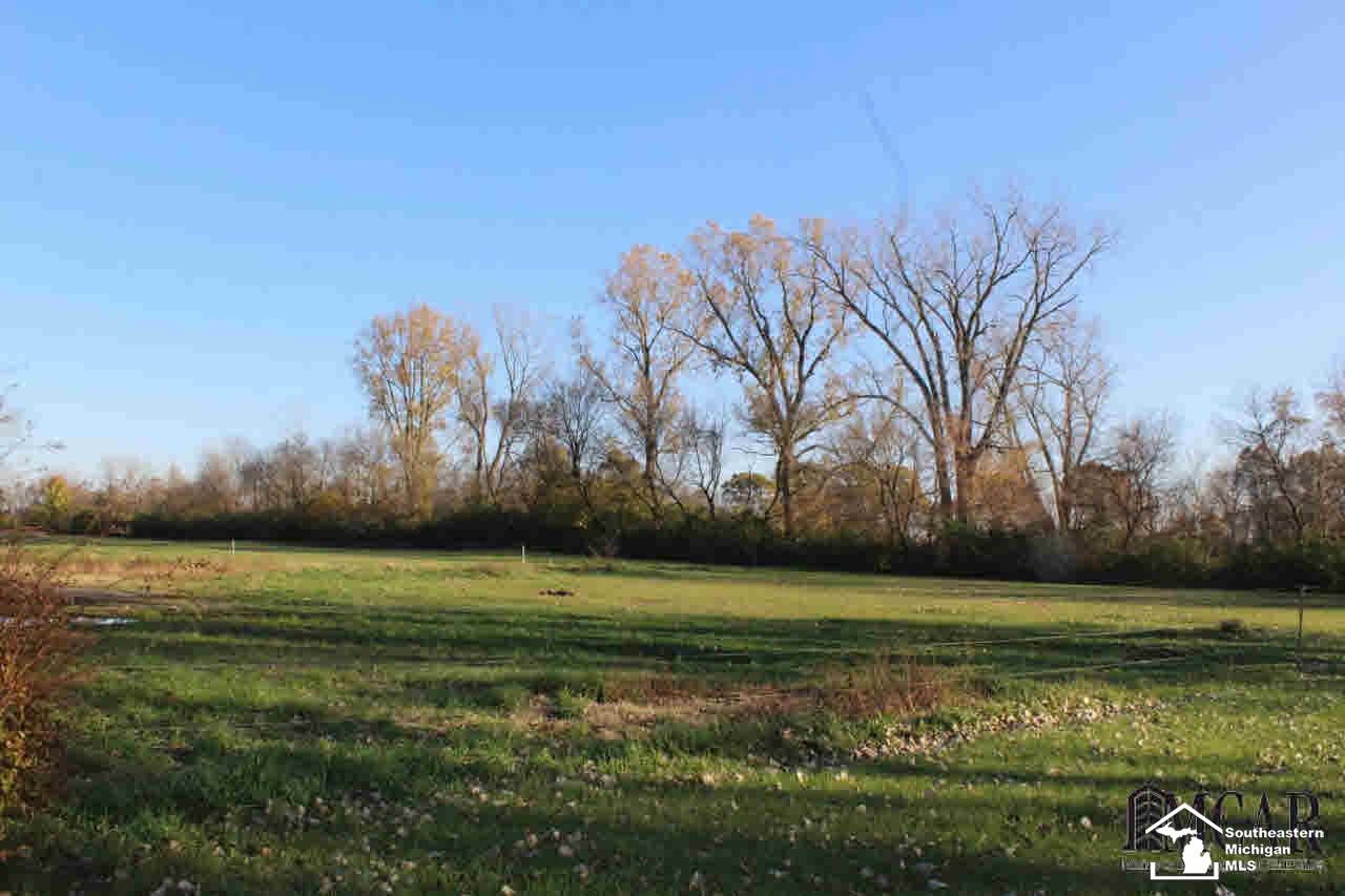 12165 West Albain Road Ida, MI 48140 - Photo 21 of 25