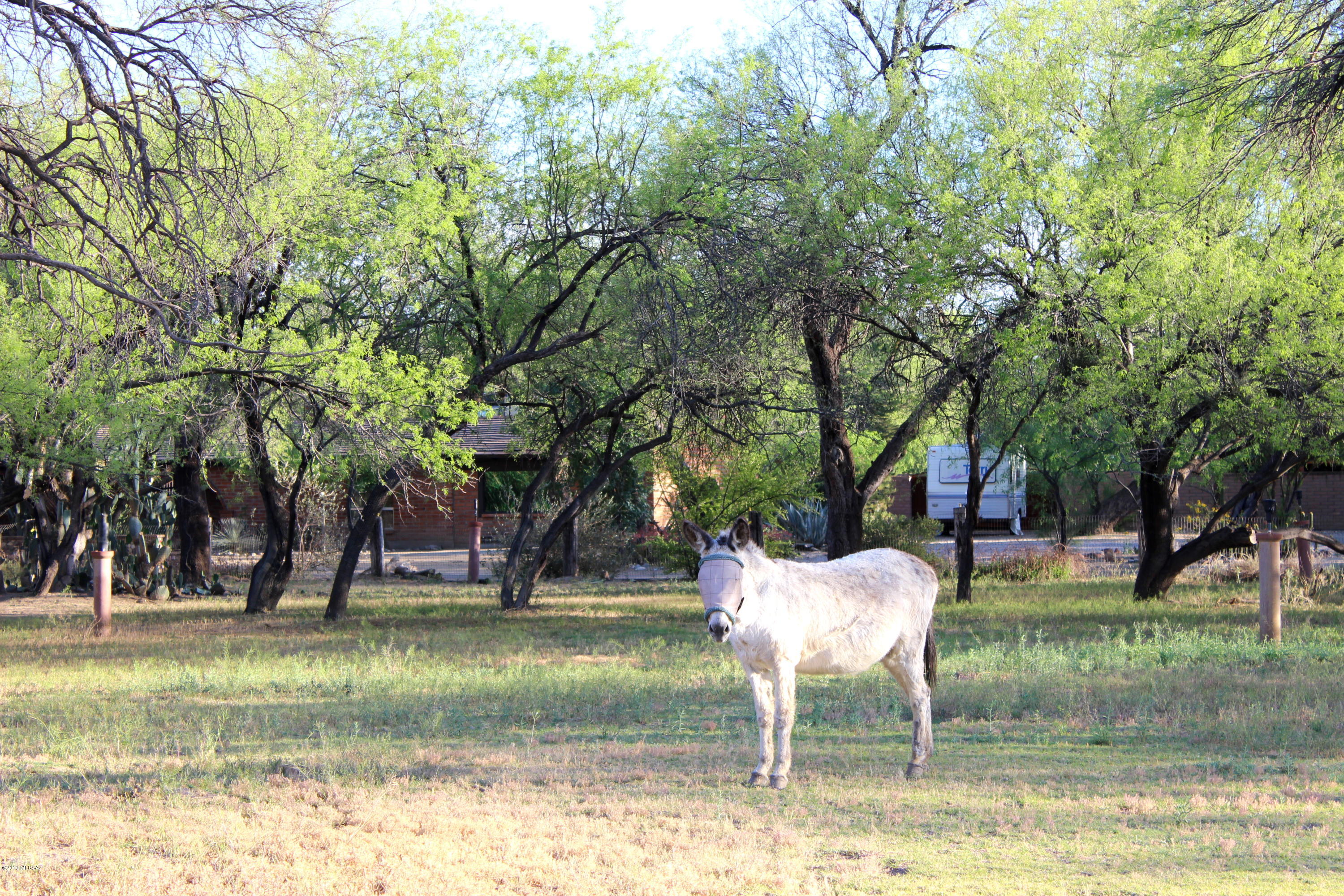 2750 North Pantano Road Tucson, AZ 85715 - Photo 14 of 21