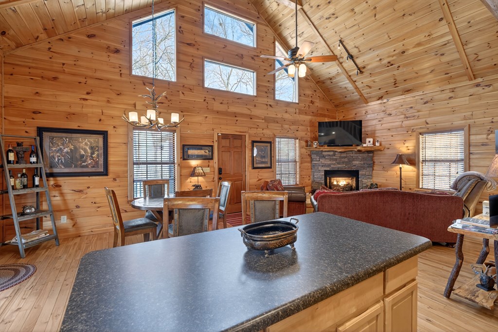 225 Eagles Nest Lane Blue Ridge, GA 30513 - Photo 5 of 48 Gallery Image 5