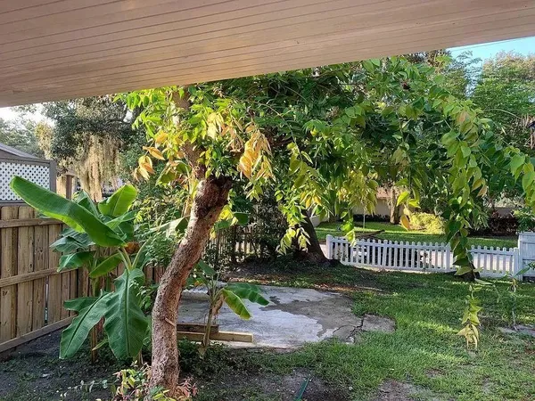 a view of a garden and deck