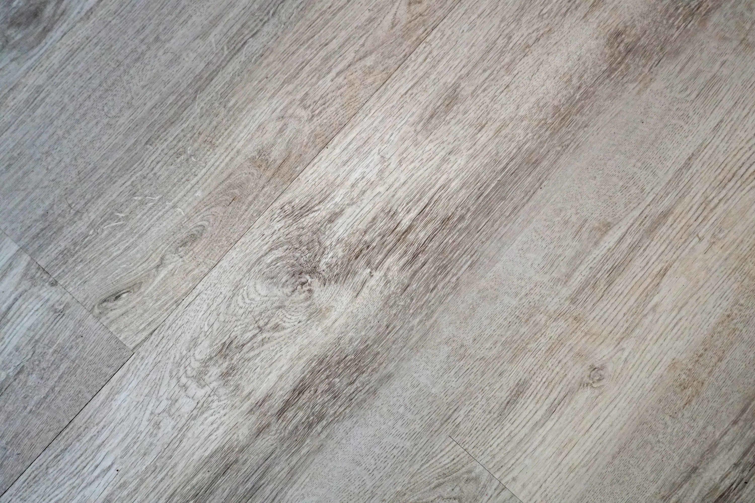 3 R Thomas Walter Circle Santee, SC 29142 - Photo 17 of 29 Flooring 2