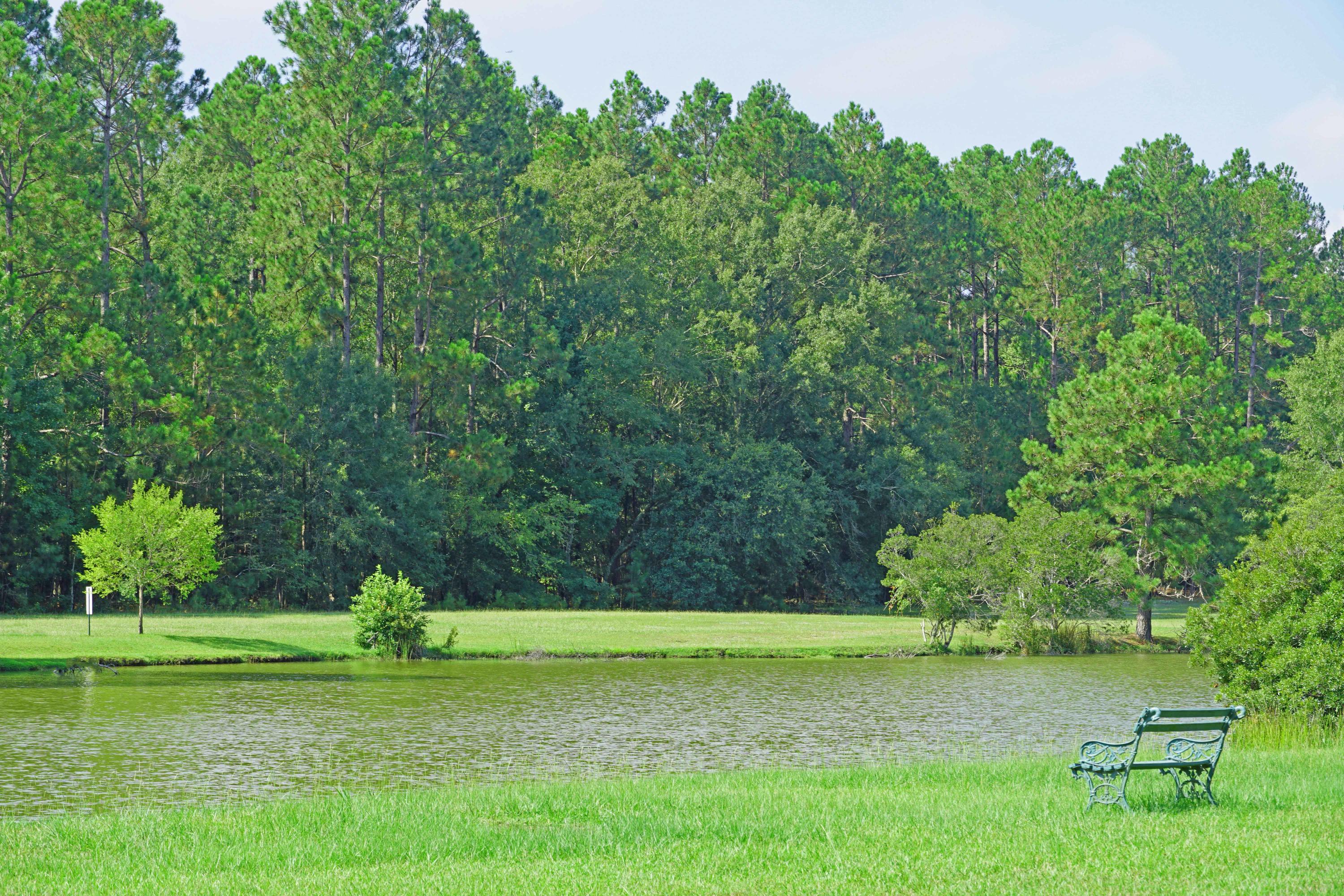 3 R Thomas Walter Circle Santee, SC 29142 - Photo 29 of 29 Pond