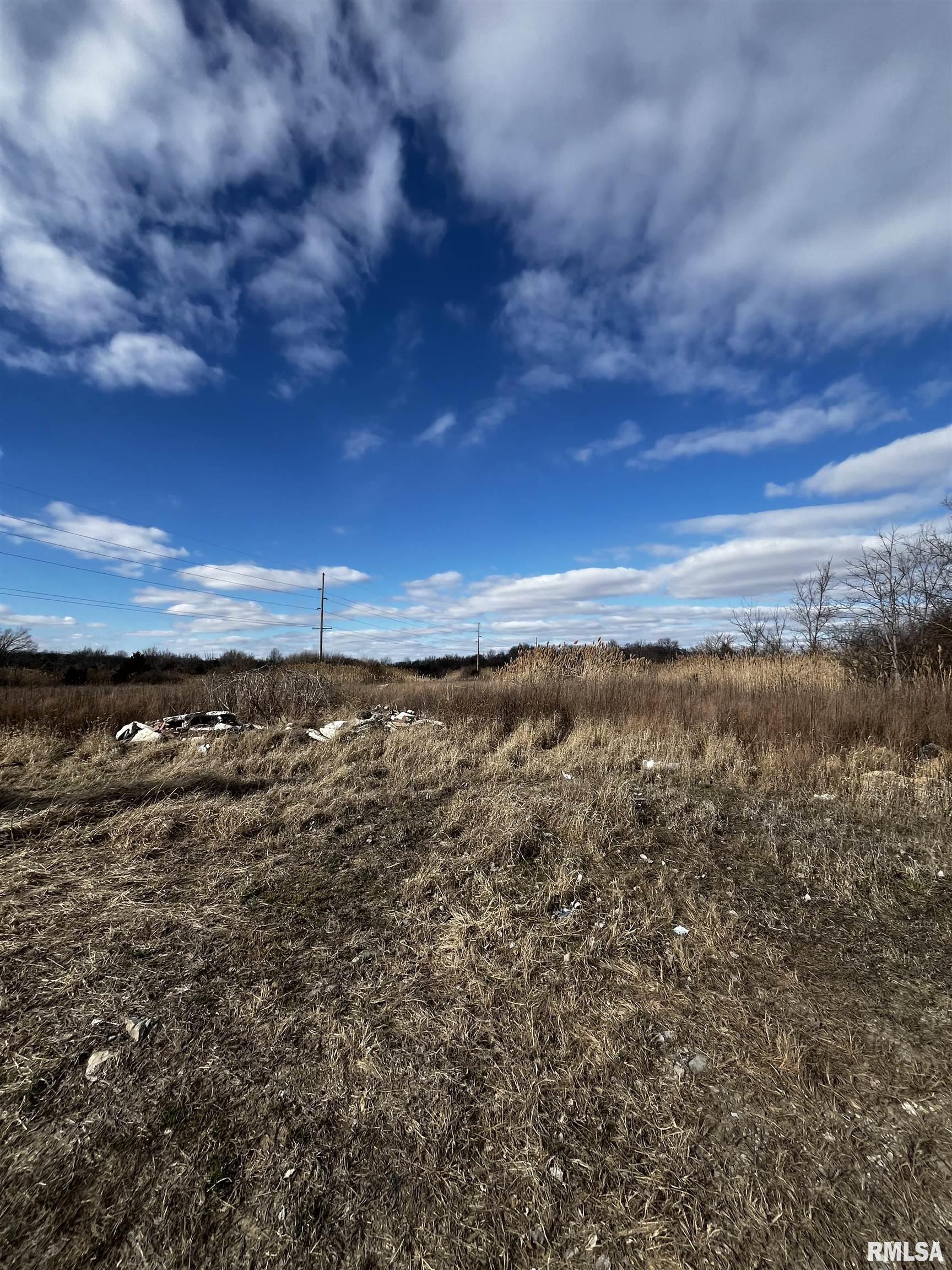 0 West College Street Energy, IL 62933 - Photo 3 of 3