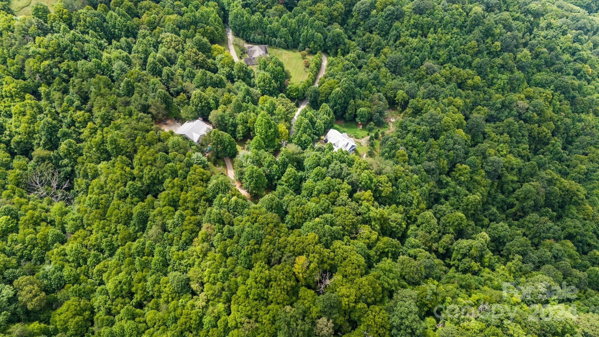 1373 Hunters Ridge Road Canton, NC 28716 - Photo 18 of 26 a view of a lush green forest