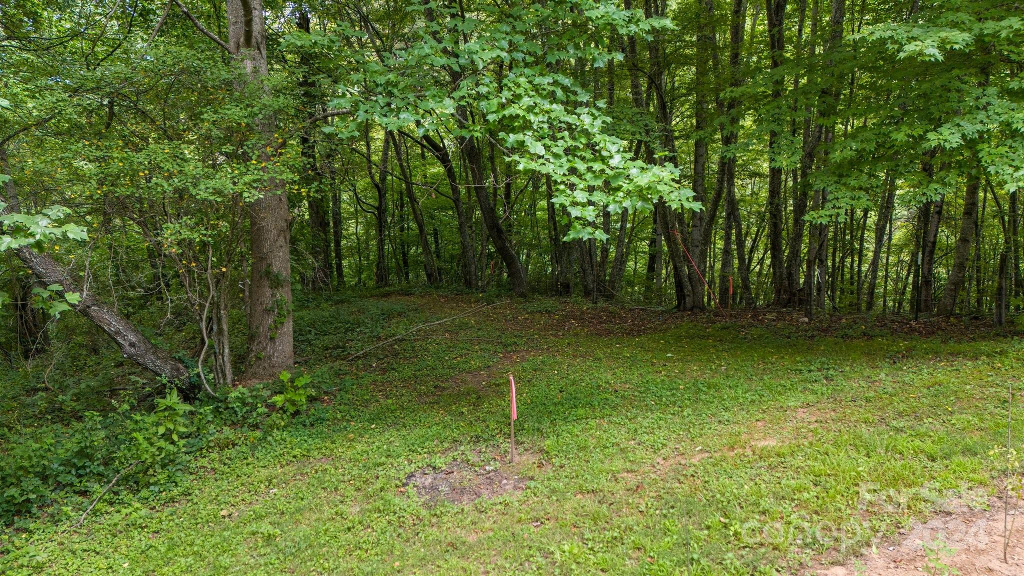 1373 Hunters Ridge Road Canton, NC 28716 - Photo 3 of 26 a view of outdoor space with deck and yard
