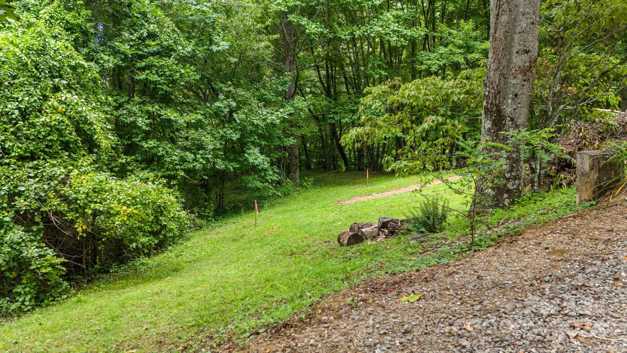 1373 Hunters Ridge Road Canton, NC 28716 - Photo 8 of 26 a lush green forest with lots of trees