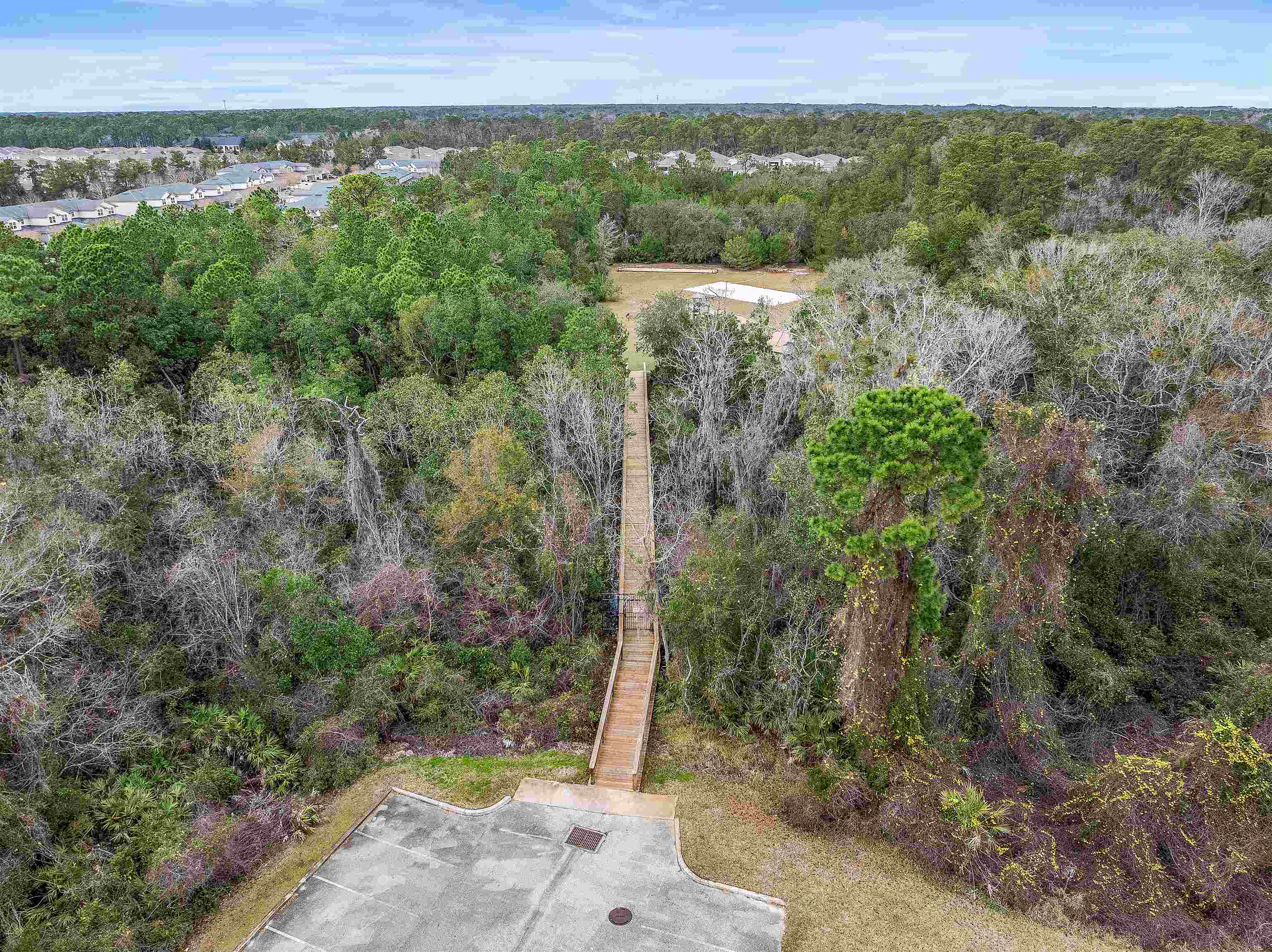 18 Amistad Drive St. Augustine, FL 32086 - Photo 32 of 37 an aerial view of a forest with a yard