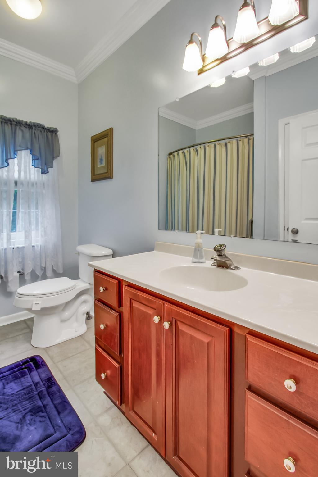 315 Bowleys Quarters Road Baltimore, MD 21220 - Photo 14 of 30 Main Bath