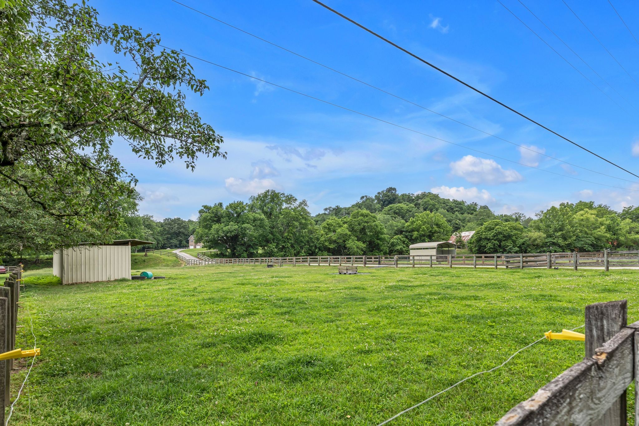 790 Blooming Grove Road Pulaski, TN 38478 - Photo 12 of 67 Gallery Image 12
