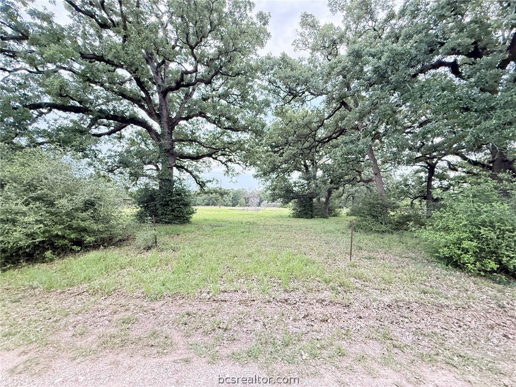 Tbd Wannabe Road Bryan, TX 77808 - Photo 14 of 25 a view of a yard with a tree