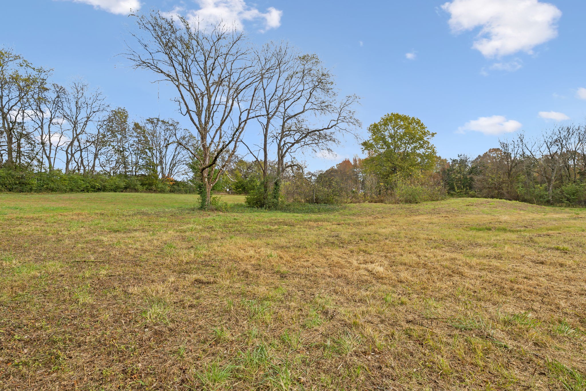 211 Beasley Road Eagleville, TN 37060 - Photo 48 of 50