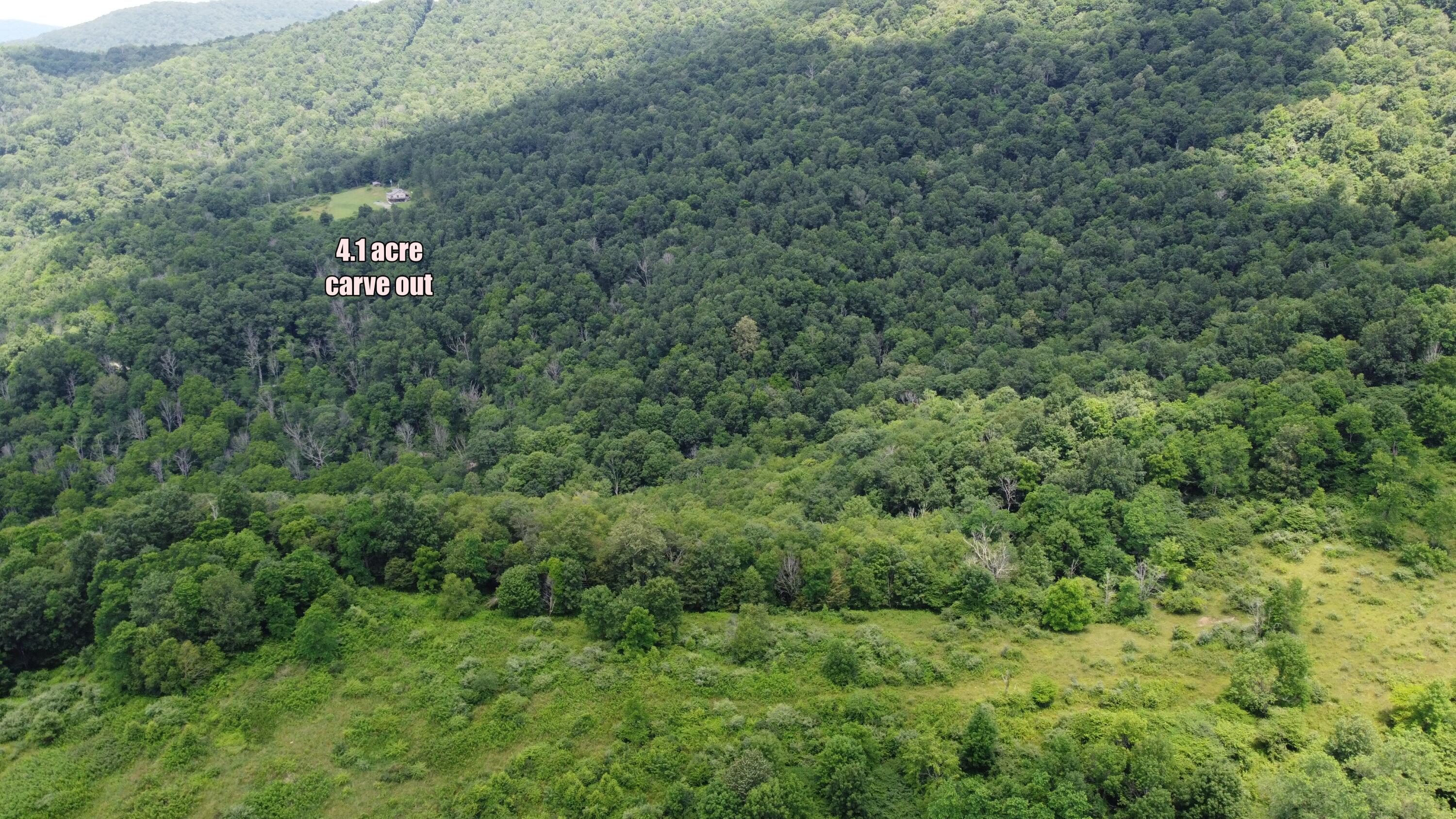 Linwood Road Cass, WV 24927 - Photo 10 of 24 upper site9
