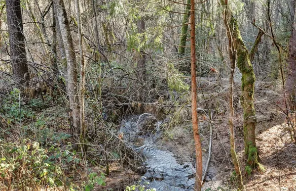 $62,500 | 12195 East Bennett Road, Grass Valley, CA 95945