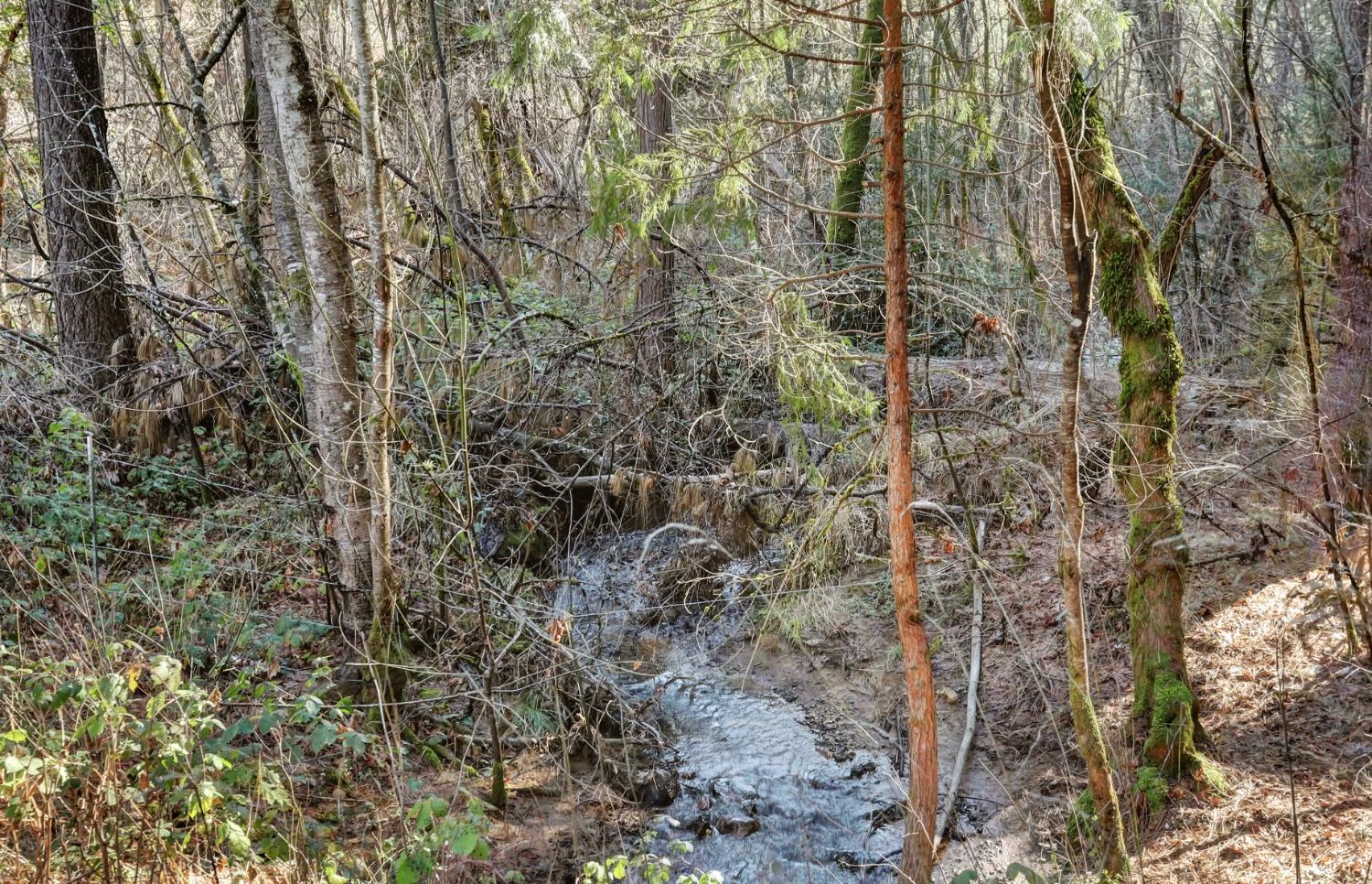 Wolf Creek runs through the property