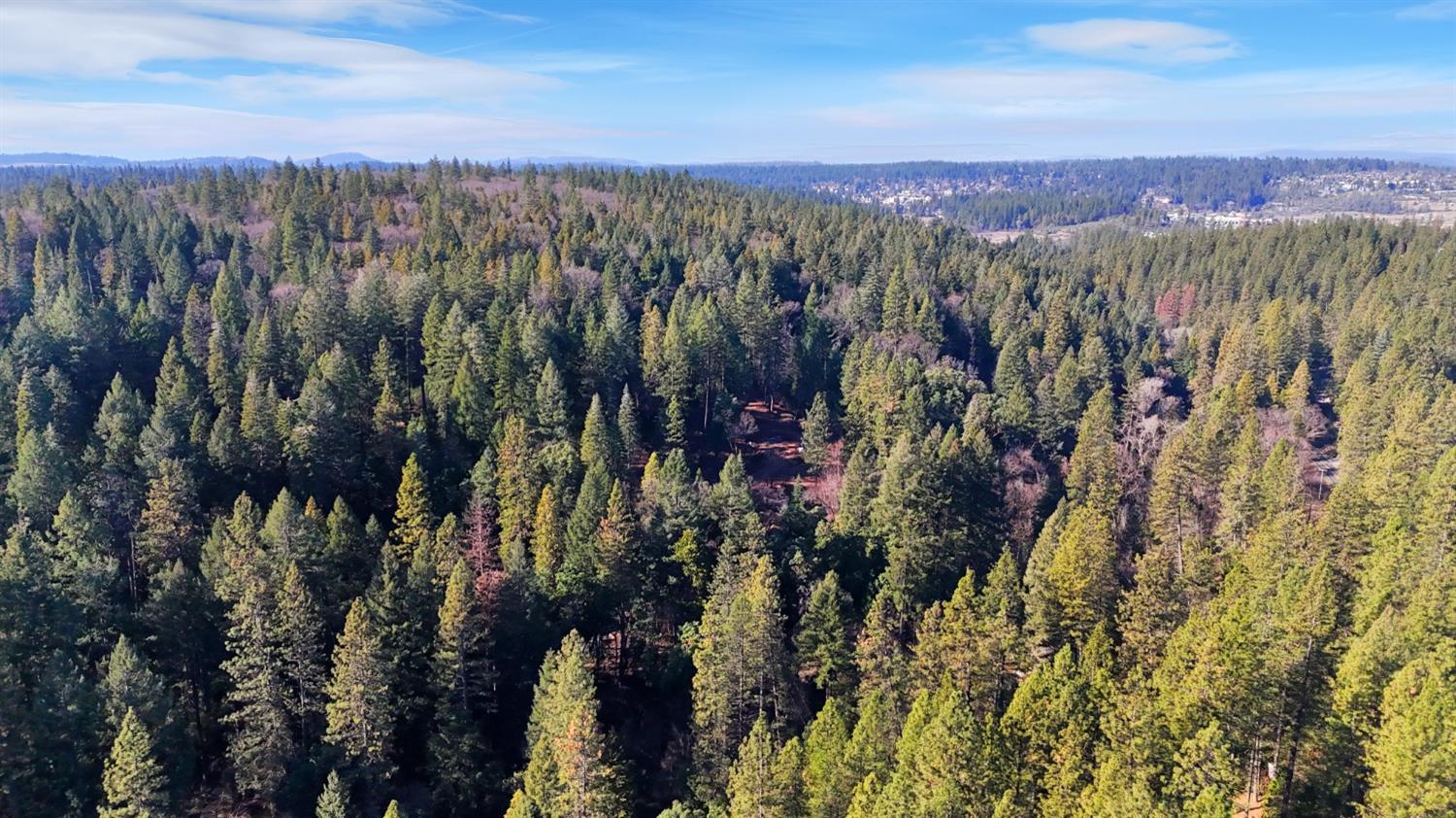 12195 East Bennett Road Grass Valley, CA 95945 - Photo 14 of 17