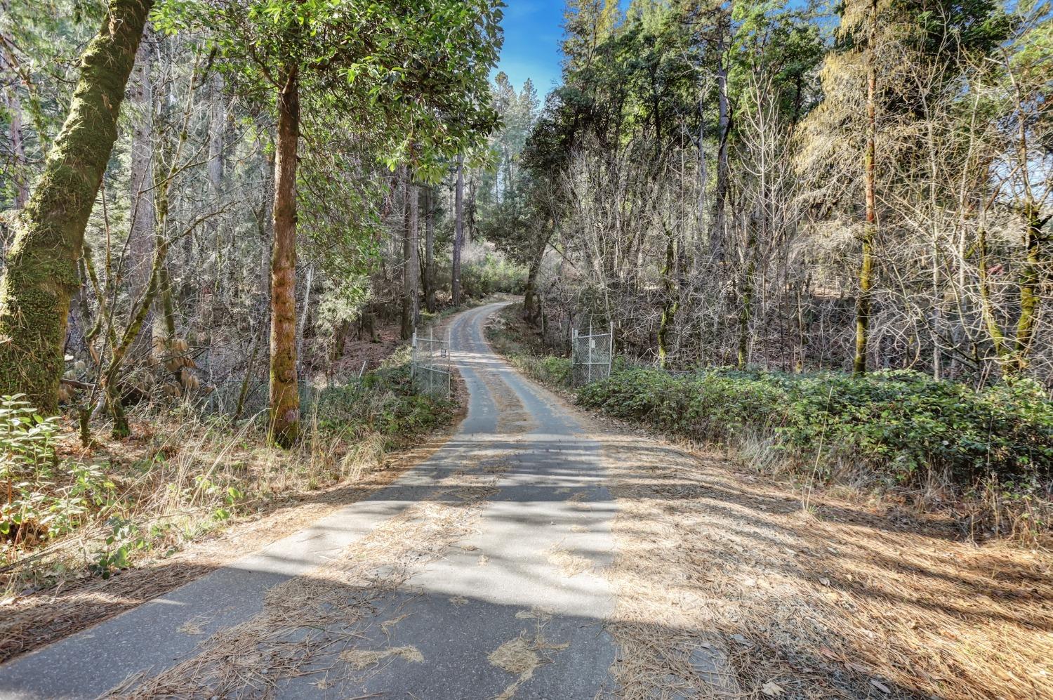 12195 East Bennett Road Grass Valley, CA 95945 - Photo 4 of 17 Entrance at East Bennet Road, Grass Valley Ca