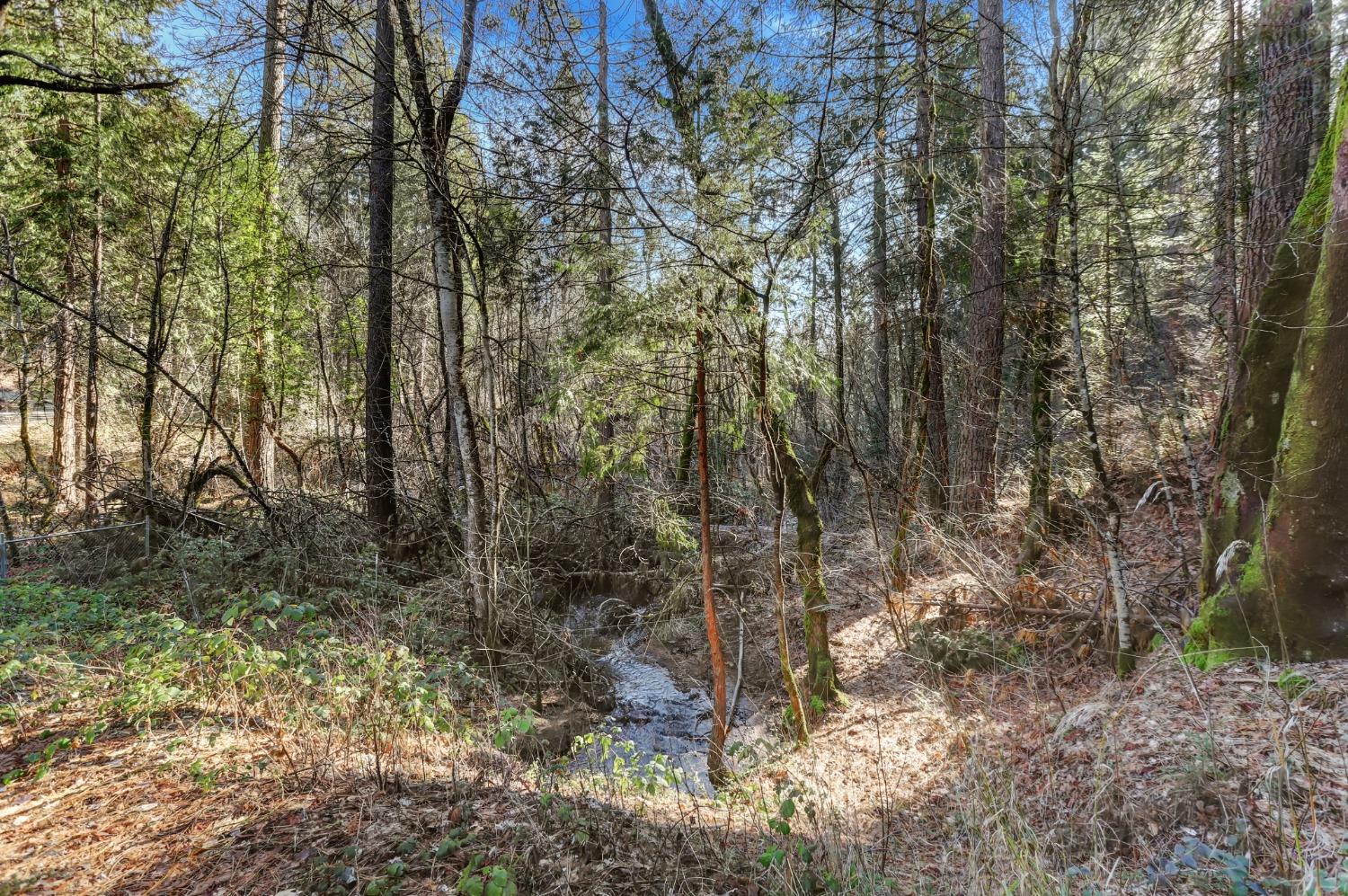 12195 East Bennett Road Grass Valley, CA 95945 - Photo 6 of 17