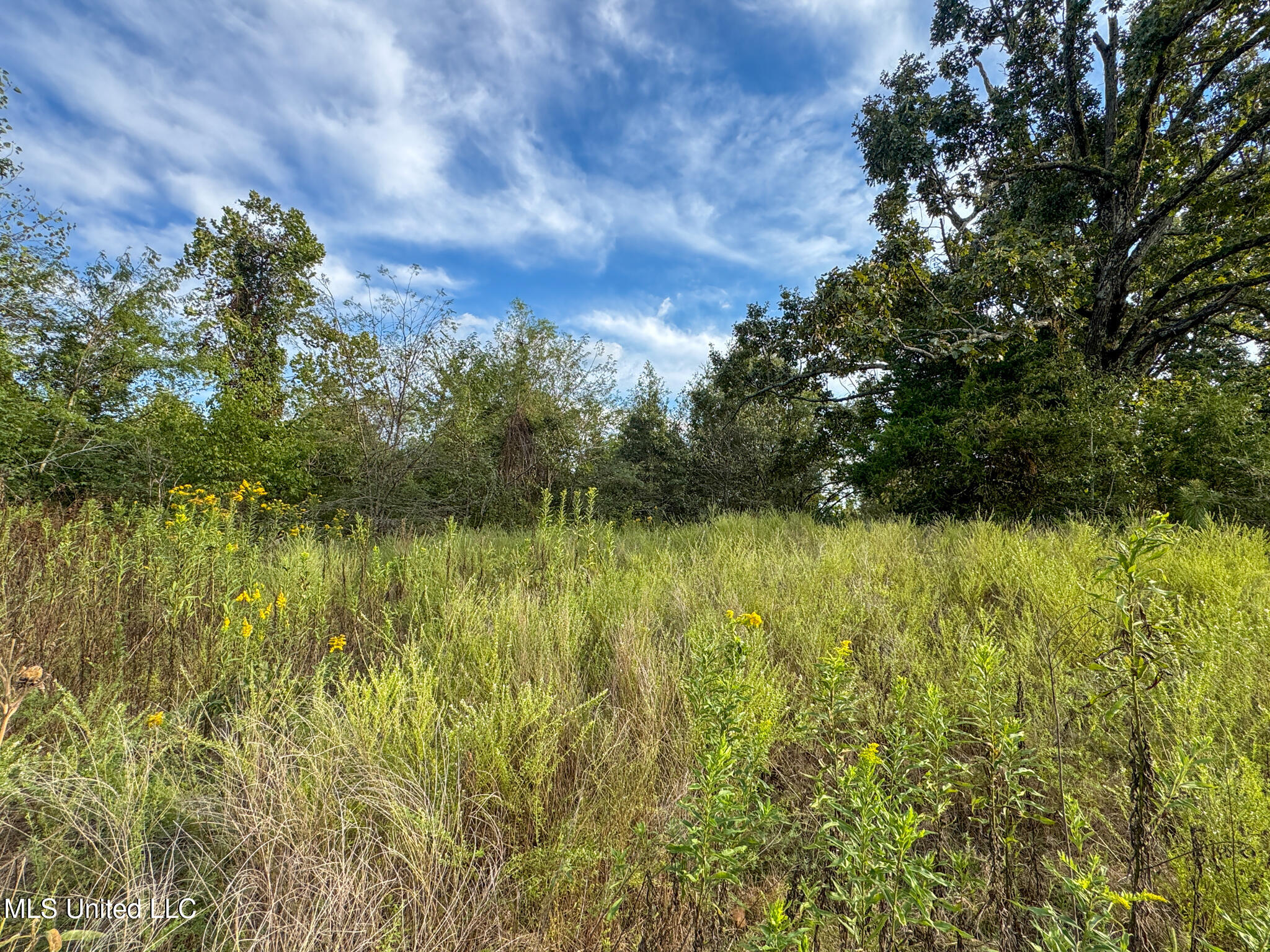 Davis Lane Hernando, MS 38632 - Photo 38 of 43 MLS-DeSoto 329 Prewett (Thompson) -38