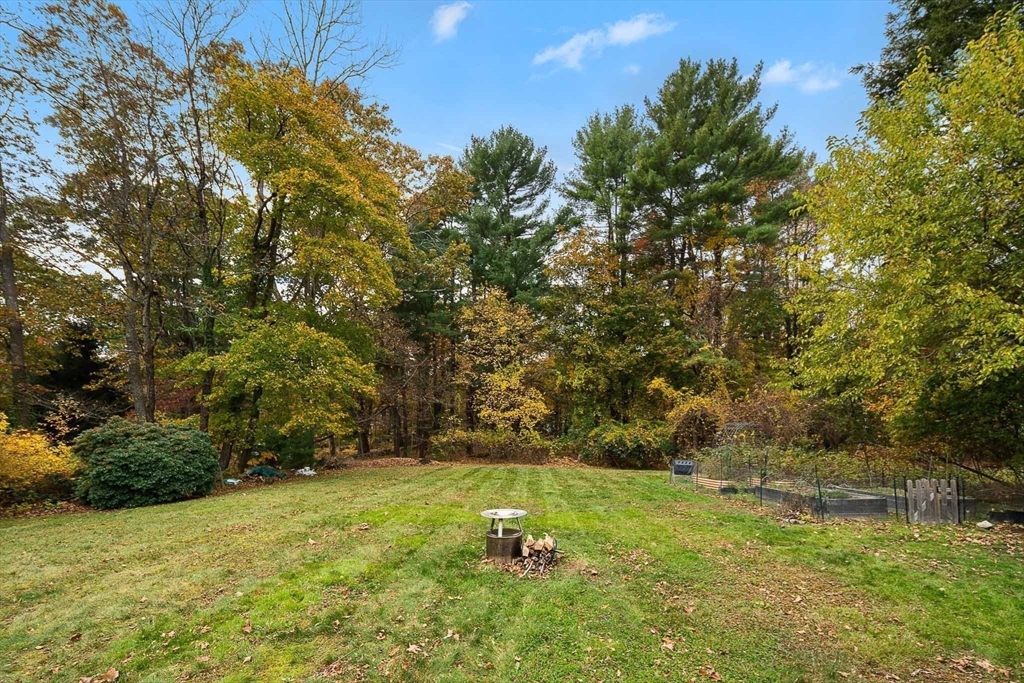 49 Cottage Street Sharon, MA 02067 - Photo 20 of 26 a backyard of a house with lots of green space