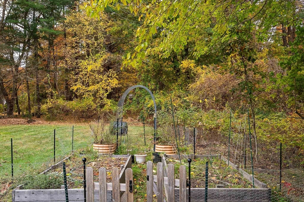 49 Cottage Street Sharon, MA 02067 - Photo 22 of 26 a view of a garden with plants