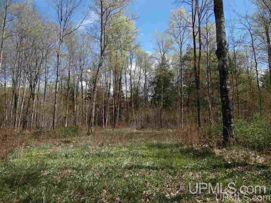 Tbd Tbd Us41 Lanse, MI 49946 - Photo 20 of 23