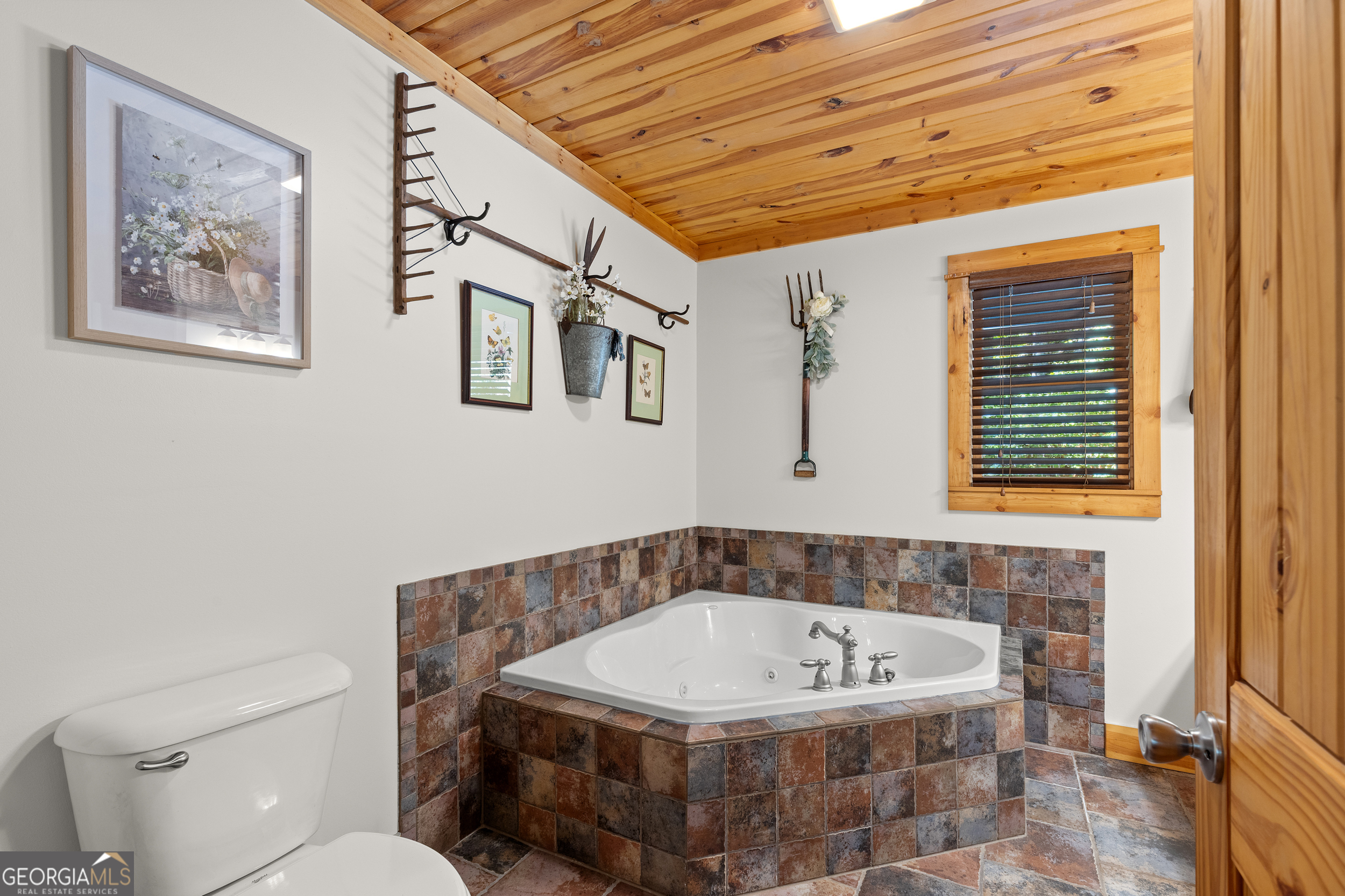 224 Dragon Tree Lane Lakemont, GA 30552 - Photo 13 of 38 a bathroom with a toilet and a bathtub