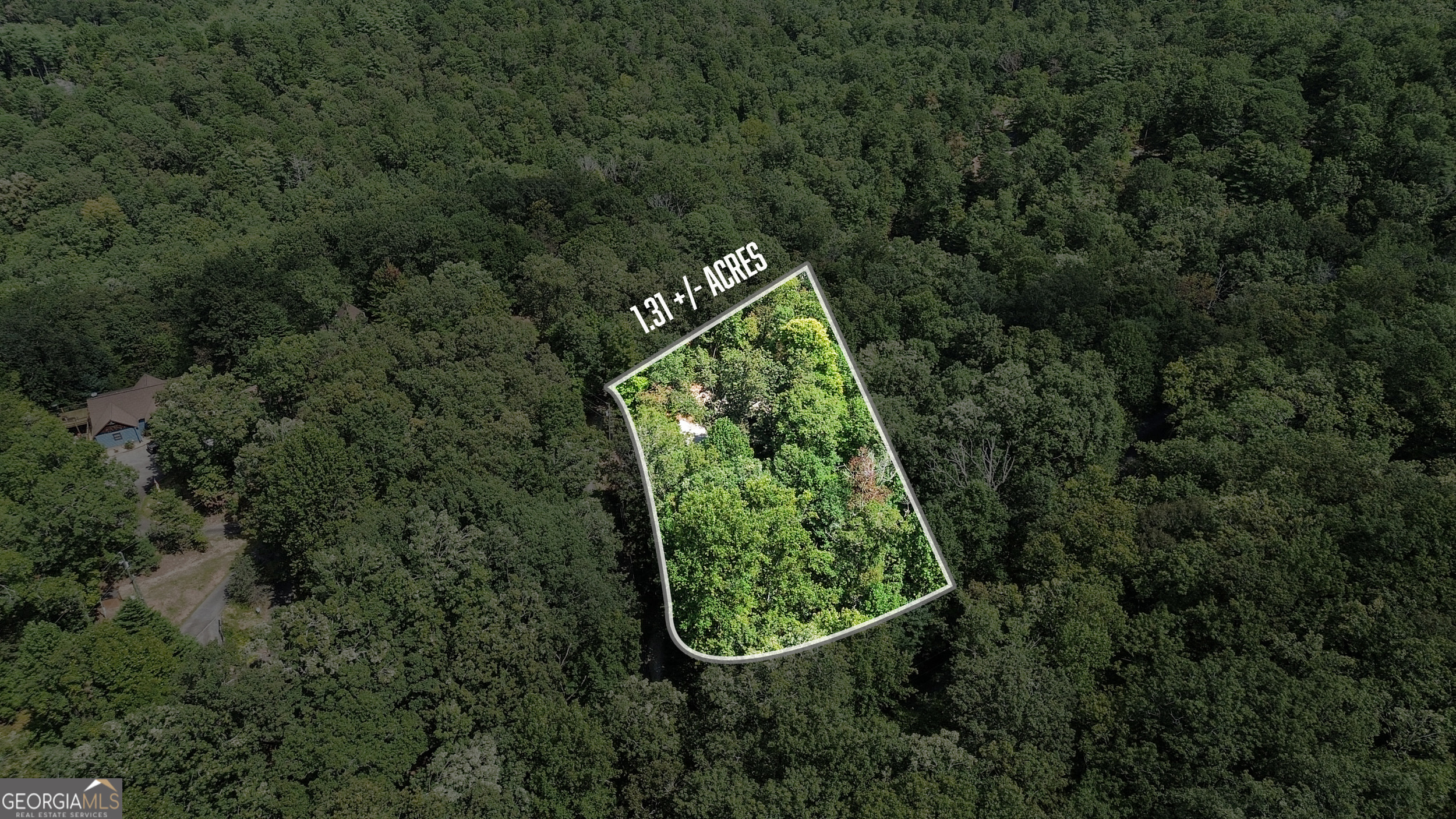 224 Dragon Tree Lane Lakemont, GA 30552 - Photo 36 of 38 an aerial view of a house with a yard