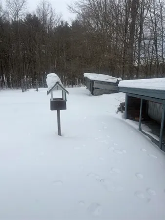 $350,000 | 263 Pickpocket Road, Brentwood, NH 03833