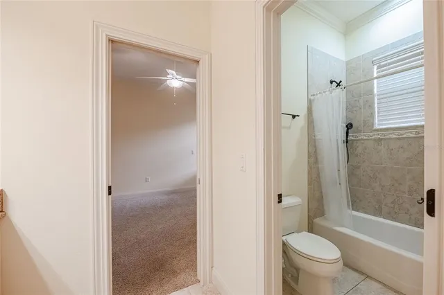 a bathroom with a shower and a toilet