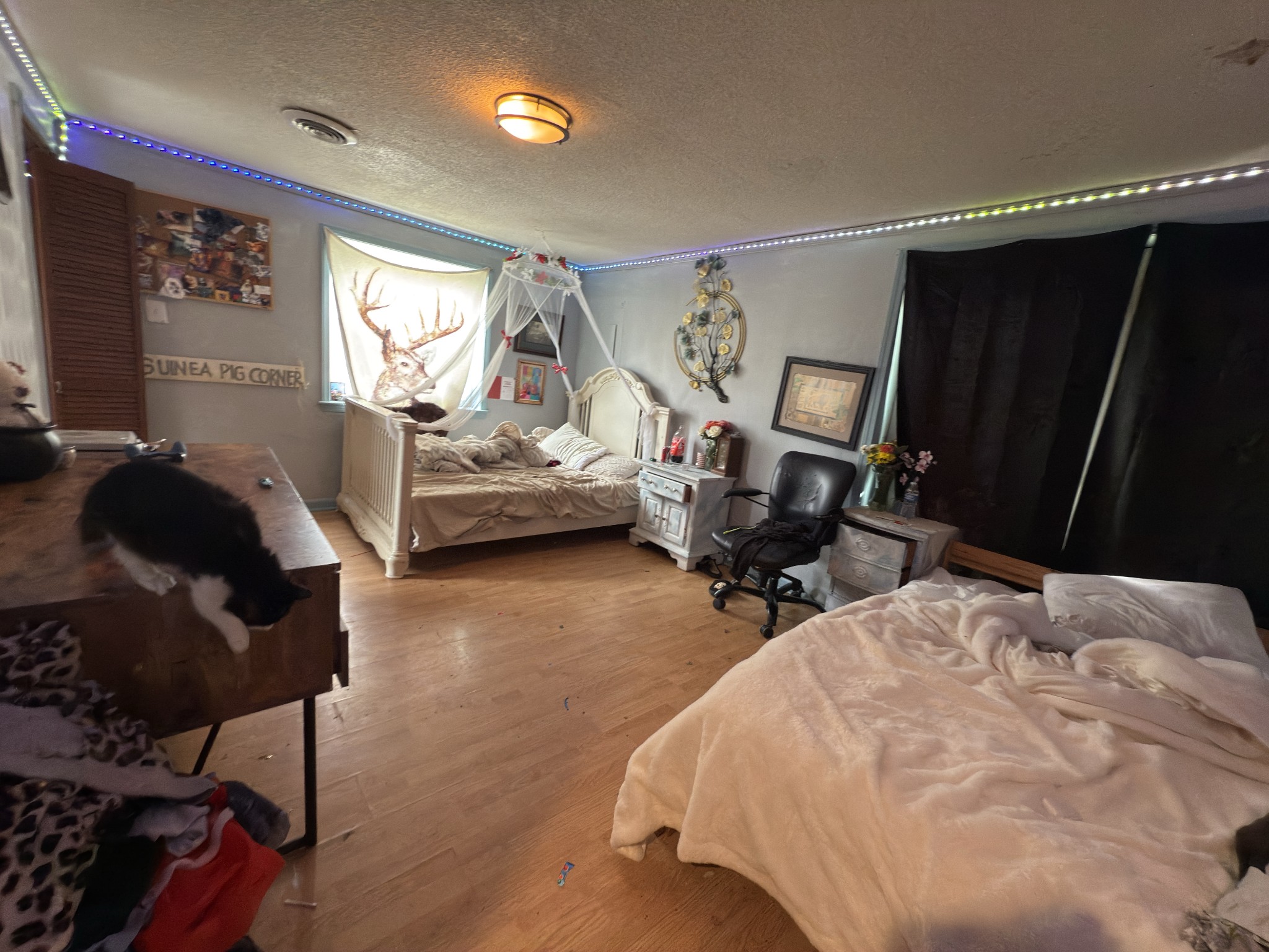 496 Rockhouse Road Hohenwald, TN 38462 - Photo 10 of 36 a bedroom with bed and window