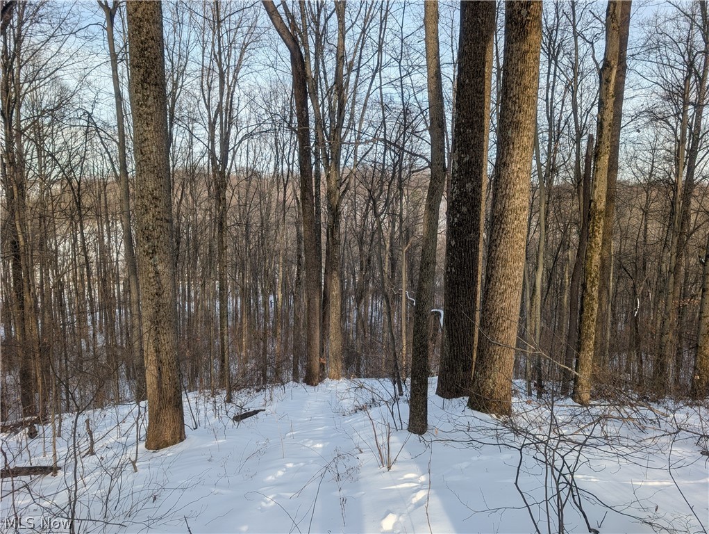 0 Tract 10 Kuhn Road Lewisville, OH 43754 - Photo 13 of 27