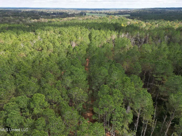 $207,041 | 503 Highway 13, Mendenhall, MS 39114