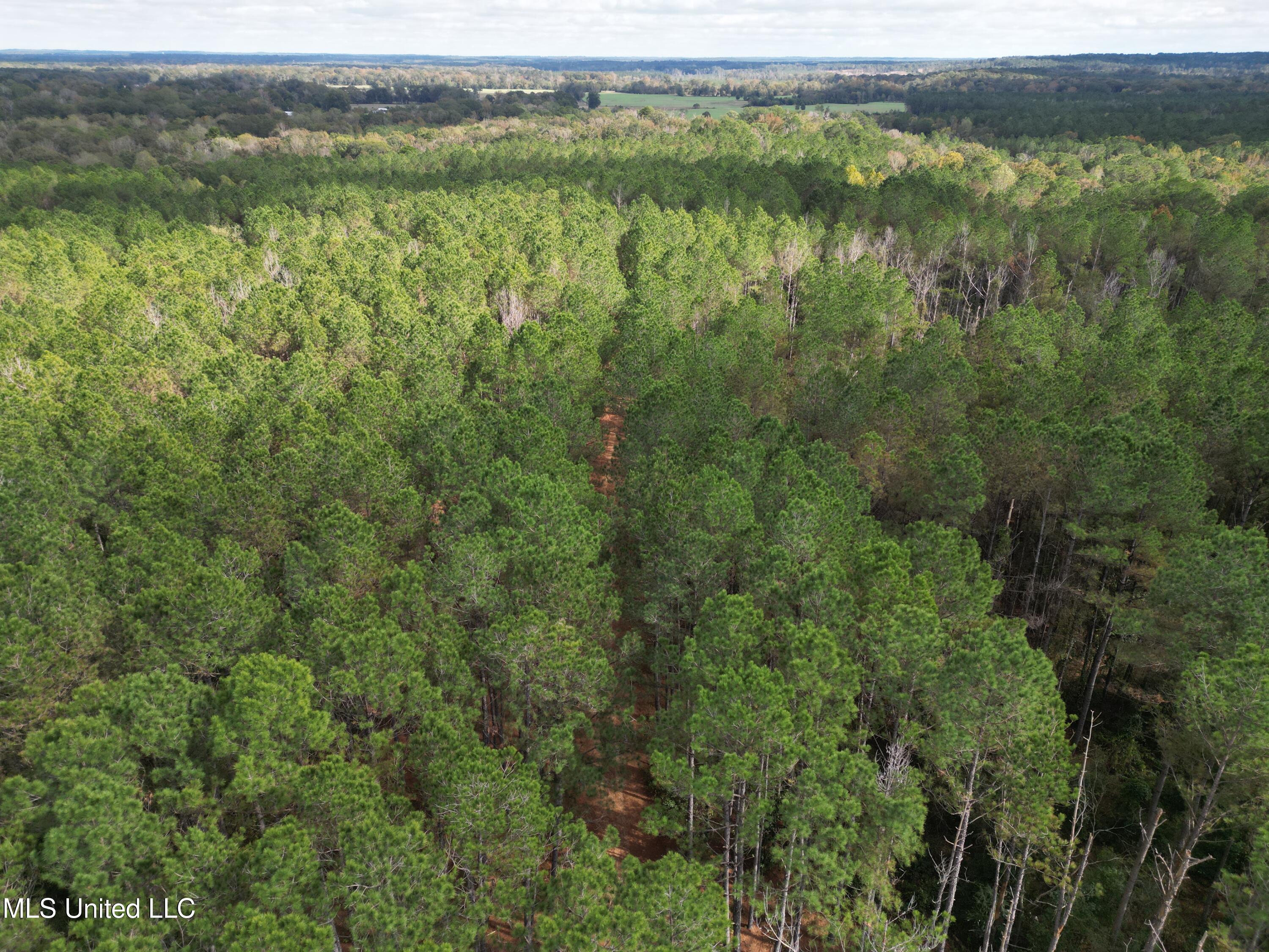 dji_fly_20251031_154830_56_1762270918849